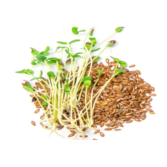 Microgreen Flax Seeds (100 Grms)