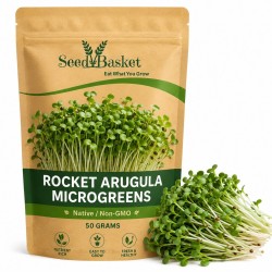 Microgreens Rocket Arugula Seeds (50 Grams)