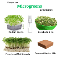 Microgreens Growing Kit Pack of 2