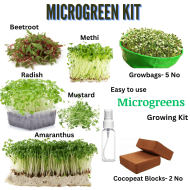 Microgreens Growing Kit Pack-5