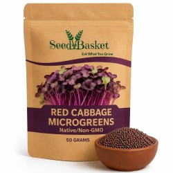 Microgreens Red Cabbage Seeds (50 Grams) | Native/Non-GMO