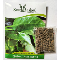 Bachali/Malabar Spinach(350+ Seeds)
