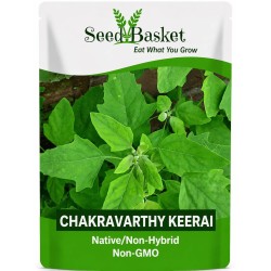 Chakravarthy Keerai Seeds (10 Grams)