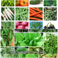 Native Seeds Kit Pack of 27