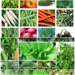 Native Seeds Kit Pack of 27