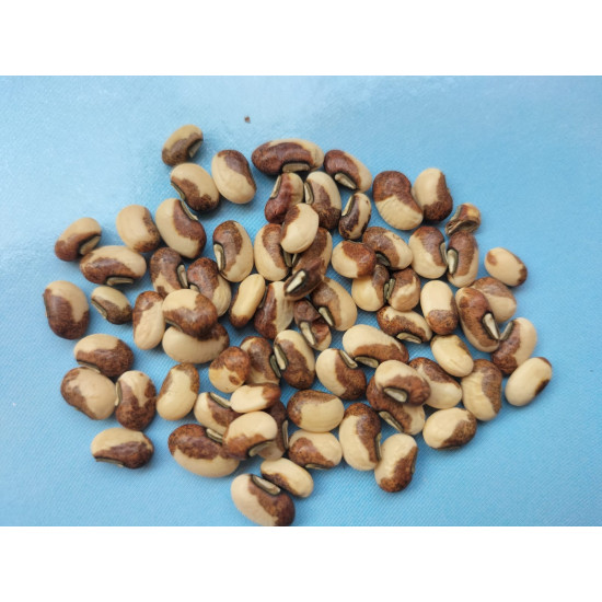 Cowpea (30 Seeds)