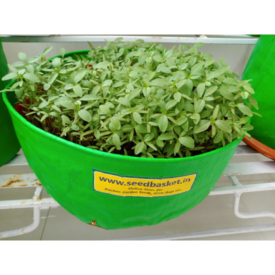 Siri kura (1400+ Seeds)
