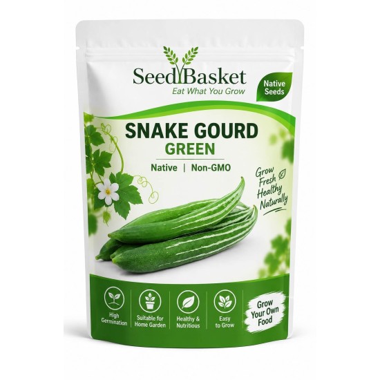 Snake Gourd Green Non-Hybrid (12 Seeds)