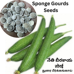 Sponge Gourd (Nethi Bheera) (40 Seeds)