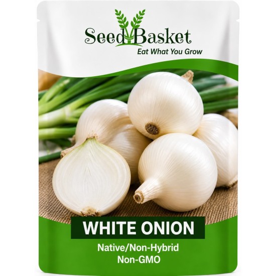 Onion White (100 Seeds)