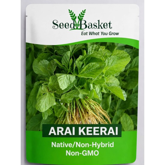 Arai Keerai Seeds (1400+ Seeds) | Native/Non-Hybrid | Non-GMO