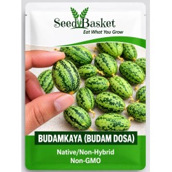 Budamkaya (Budam Dosa) Seeds – Native & Non-Hybrid Vegetable Seeds