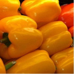 Capsicum Yellow Hybrid (25 Seeds)