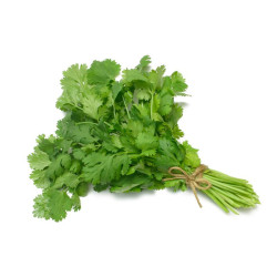 Coriander  (300+ Seeds)