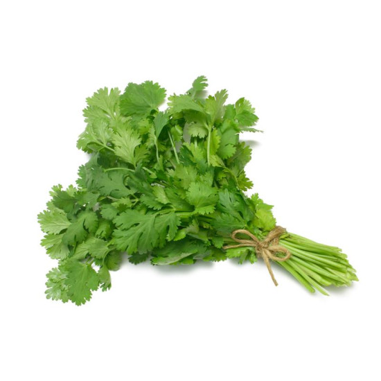 Coriander  (300+ Seeds)