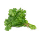 Coriander  (300+ Seeds)