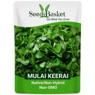 Mulai Keerai Seeds (1400+ Seeds) | Native/Non-Hybrid | Non-GMO