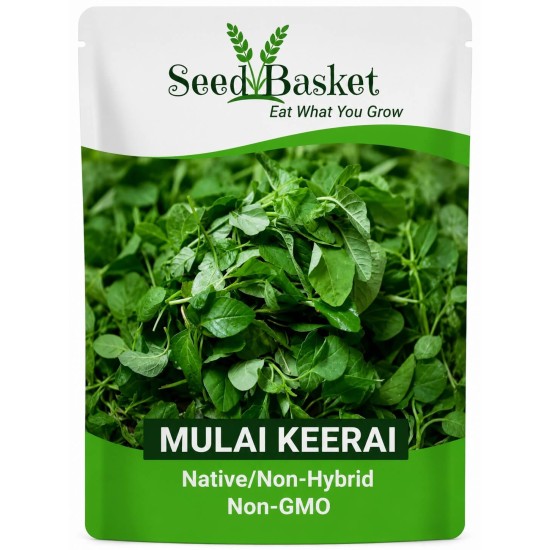 Mulai Keerai Seeds (1400+ Seeds) | Native/Non-Hybrid | Non-GMO