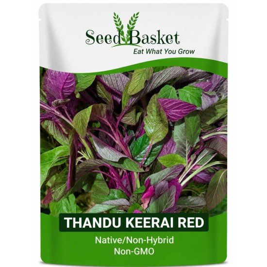 Thandu Keerai Red Seeds (10 Grams)