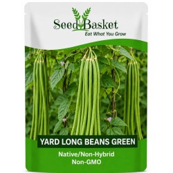 Yard Long Beans Green Seeds (5 Grams)