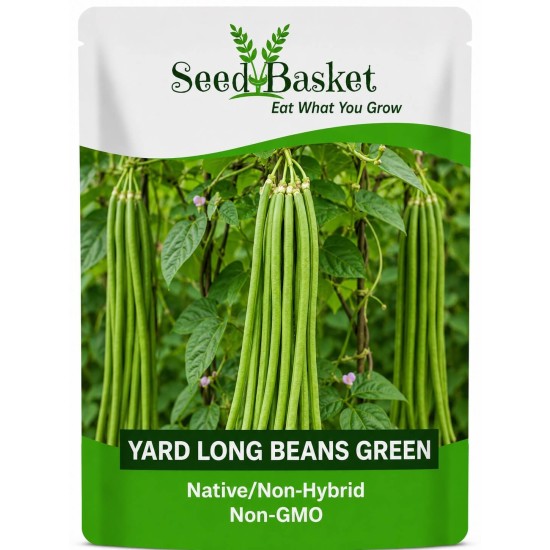 Yard Long Beans Green Seeds (5 Grams)