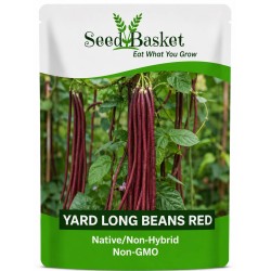 Yard Long Beans Red Seeds (5 Grams)