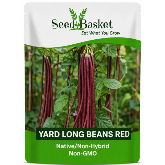 Yard Long Beans Red Seeds (5 Grams)