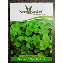 Coriander  (300+ Seeds)
