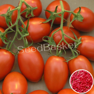 Tomato Oval Shaped Hybrid Seeds