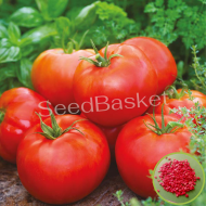 Tomato Hybrid (20 Seeds)