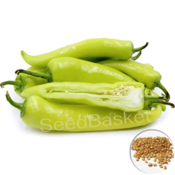 Bajji Mirchi Hybrid (50 Seeds)