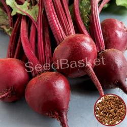 Beetroot (100 Seeds)