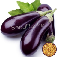 Brinjal Purple Long (400 Seeds)