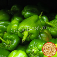 Capsicum Green Hybrid  (25 Seeds)