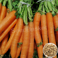 Carrot Non Hybrid  (400 Seeds)