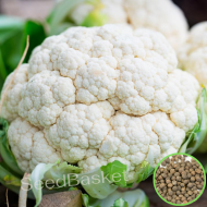 Cauliflower Non-Hybrid (200 Seeds)