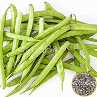 Cluster Beans (80+ Seeds)