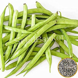 Cluster Beans (80+ Seeds)