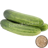 Keera Cucumber Non Hybrid (50 Seeds)
