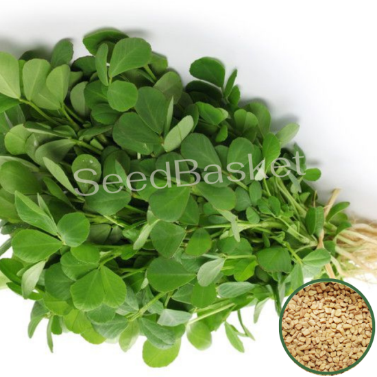 Methi (350 Seeds)