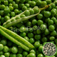 Peas Green (30 Seeds)