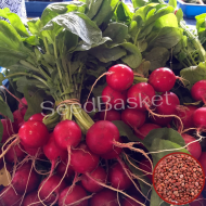 Radish Red Globe (50 Seeds)