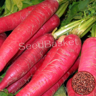 Radish Full Red (100 Seeds)