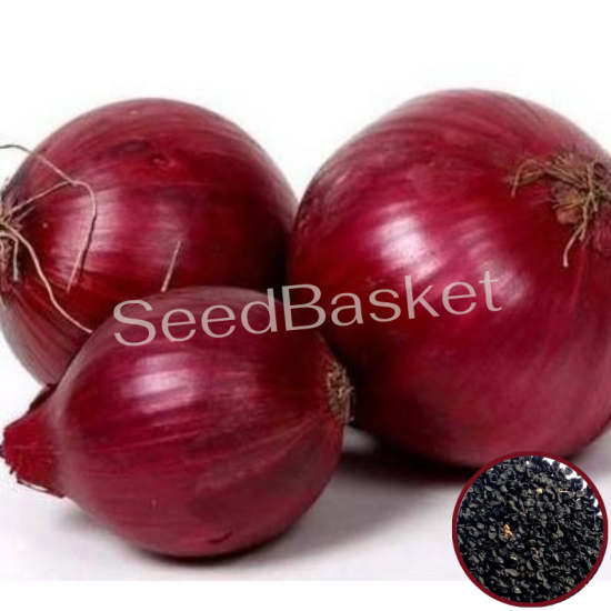 Onion Red (400 Seeds)