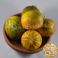 Sambar Cucumber(Dosakaya)- 50 Seeds